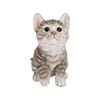 Tuscan Path 19 x 16cm Ralph Kitten Statue