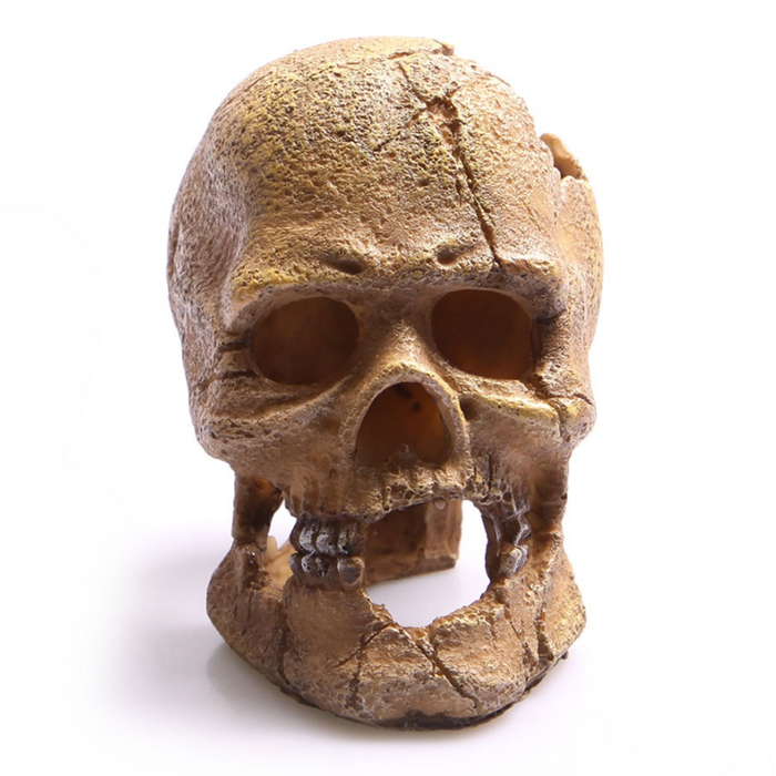 Aqua One Human Skull With Hole Ornament (36763) - Bunnings Australia