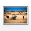 Mammals Standing In a Field  Print 100% Australian Made 120x90cm  (Poster)