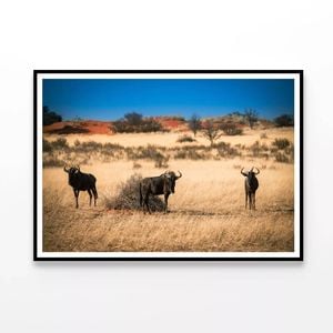 Mammals Standing In a Field  Print 100% Australian Made 120x90cm  (Poster)