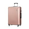 Wanderlite 28" Luggage Set Suitcase TSA Rose Gold