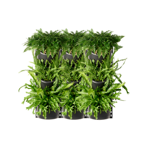Maze 3 x XL Three Tier Vertical Garden (3 x Frames - 9 x Pots)