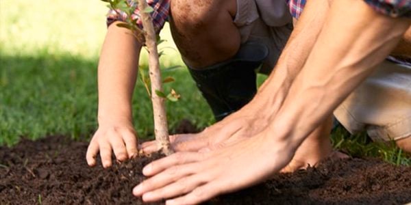 People planting a tree.