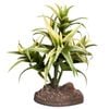Reptile One Plant Small Flexuosa Palm Green With Ceramic Base