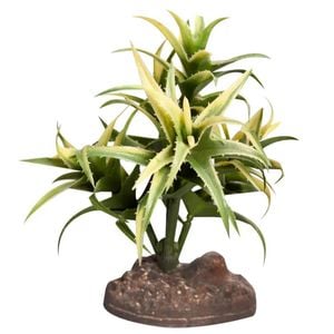 Reptile One Plant Small Flexuosa Palm Green With Ceramic Base