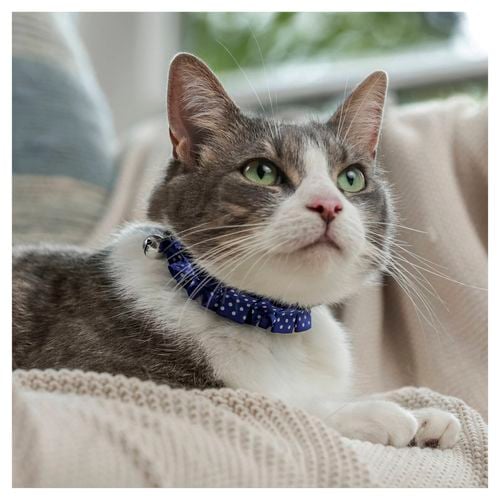 Purina fashion cat collar