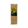 Yarra Valley Bulbs Daffodil Tete A Tete - 25 Pack