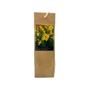 Yarra Valley Bulbs Daffodil Tete A Tete - 25 Pack