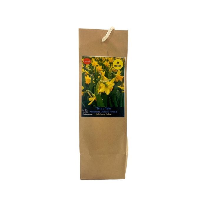 Yarra Valley Bulbs Daffodil Tete A Tete - 25 Pack