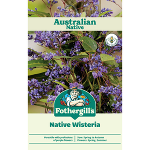 Fothergill's Australian Native Wildflower Native Wisteria Seeds