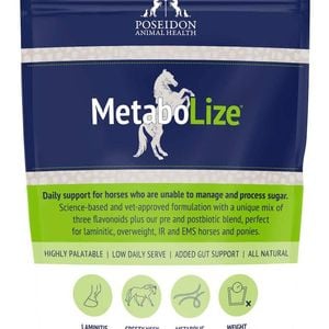 Poseidon Metabolize High Palatable Daily Support for Horses 180g