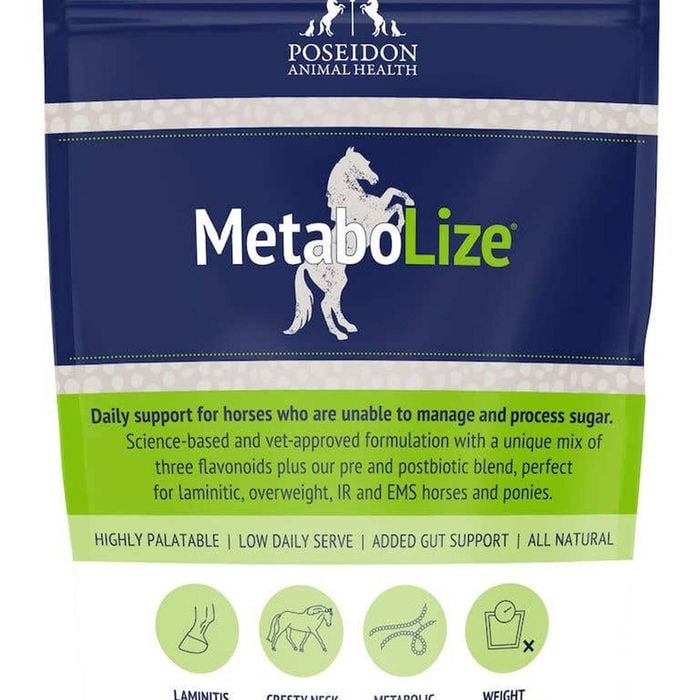 Poseidon Metabolize High Palatable Daily Support for Horses 180g