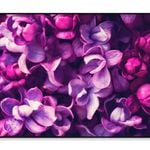 Purple Lilac Flowers Background  Print 100% Australian Made 90x60cm  (Poster)