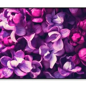 Purple Lilac Flowers Background  Print 100% Australian Made 90x60cm  (Poster)