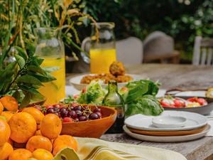 How to create an eco-friendly garden: Bri DiMattina’s productive, biodiverse space shows how companion planting in the garden and sustainable kitchen garden ideas can work together.