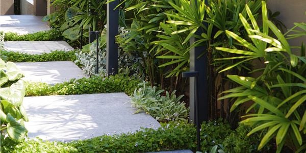 Metal square arches following a grey tiled pathway with green foliage either side.