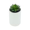 UN-REAL 15cm White Succulent Artificial Plant