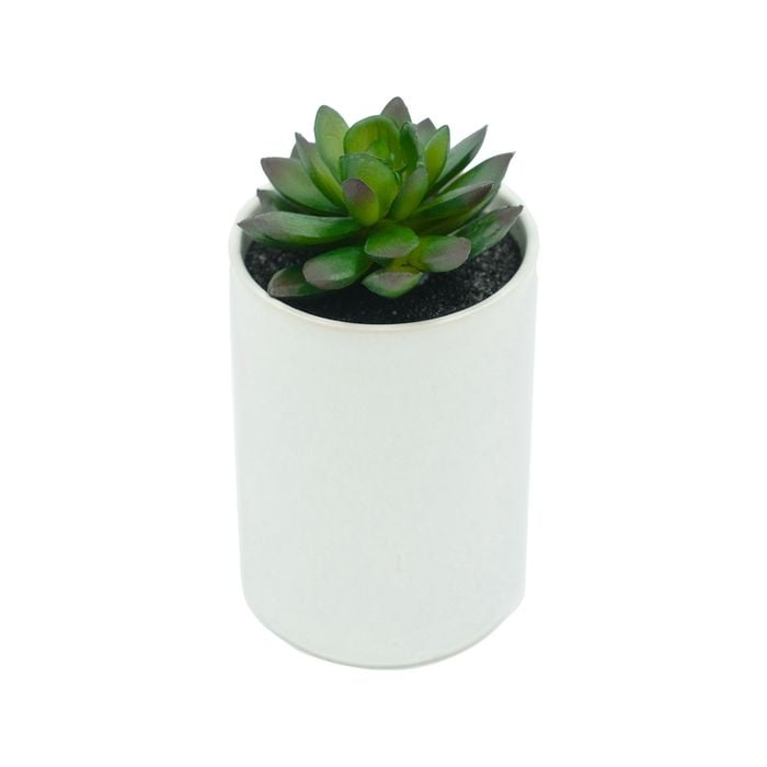 UN-REAL 15cm White Succulent Artificial Plant