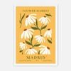 Galrie Charming Floral Art Print from Flower Market Madrid Botanical Archive No.5, White Frame, A4 21 x 30cm (8 x 12inch)