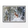 Fox On the Snow in a Forest  Print 100% Australian Made 90x60cm  (Poster)