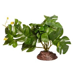 Reptile One Plant Rhaphidophora Green With Ceramic Base