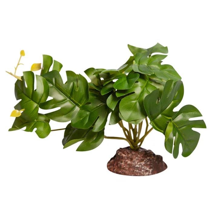 Reptile One Plant Rhaphidophora Green With Ceramic Base