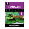 Bloomin' Bulbs Horseradish - 1 Pack