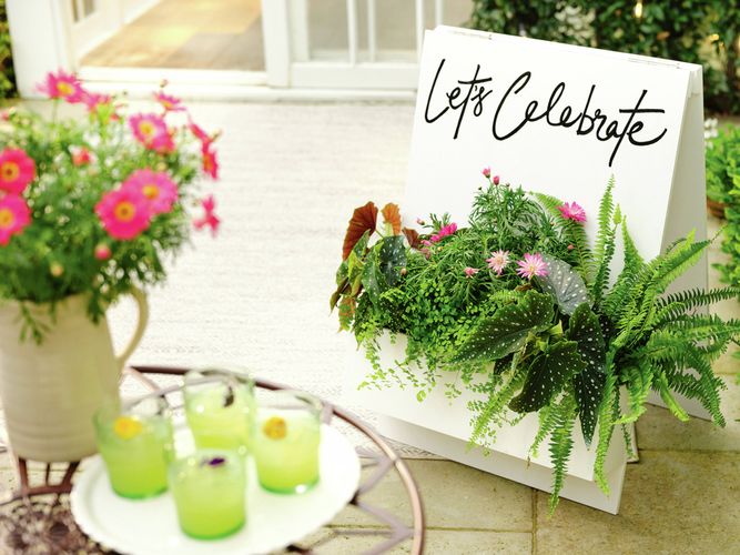 A white planter box filled with green plants and pink flowers, with a white welcome sign behind it that reads "Let's Celebrate". [[2609] MAK...me sign_V1 | Word]