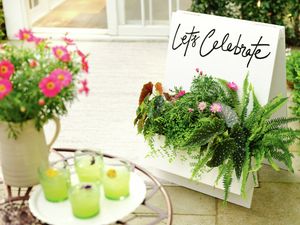 A white planter box filled with green plants and pink flowers, with a white welcome sign behind it that reads "Let's Celebrate". [[2609] MAK...me sign_V1 | Word]