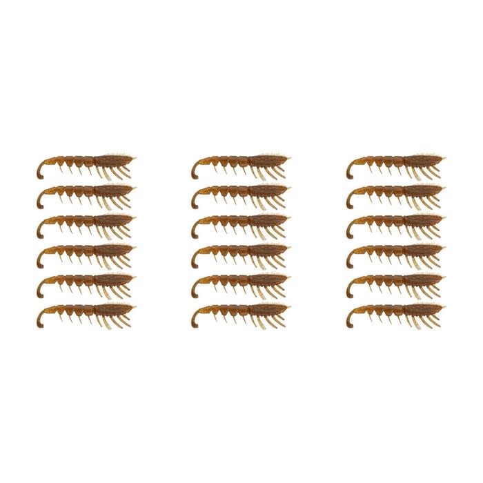 3x 6PK 3In Rapala Crush City The Imposter Plastic Prawn Lures - Bloodworm UV