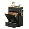 Advwin 2in1 Dog Feeding Station Food Storage Cabinet Pet Feeder