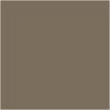 Johnson Tiles 97 x 97mm Mocha Gloss Spectrum Wall Tile