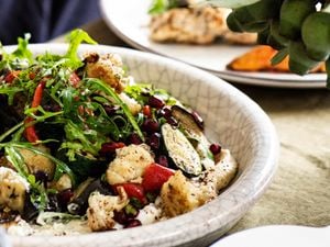 A closed up shot of a dish of Mediterranean vegetables (zucchinis, eggplants, cauliflowers, capsicums and rocket leaves) with garlic and hummus.