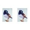 2PK Ashdene Cotton 70x50cm Modern Birds Wren Kitchen Towel