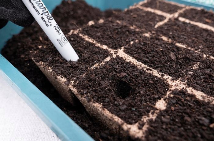 Making a hole in soil in a planting tray using a pen