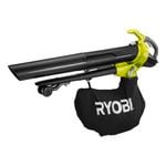 Blower Vac & Leaf Blowers