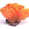 Aqua One Euphyllia Orange Coral Ornament (36880)