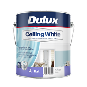 Ceiling Paint
