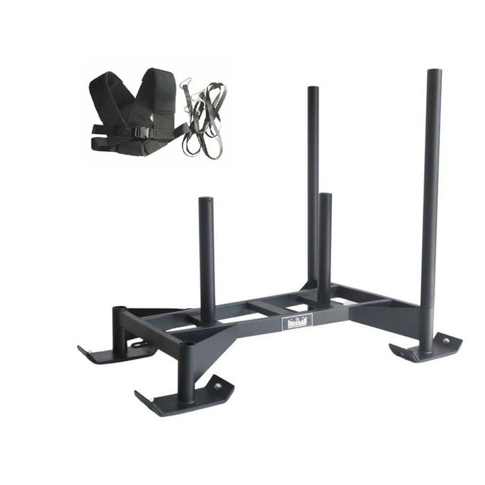 Morgan Driver Sled 2.0 + H-harness