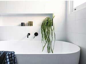 Bath with indoor plant