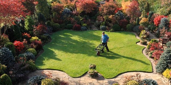 A man pushes a wheelbarrow through a perfectly manicured lawn to show how to prepare  your garden for autumn