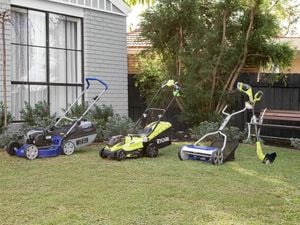 Lawn mowers - Line trimmer - Lawn - Garden - Make It Yours Season 1 - Medium - Victa - Ryobi