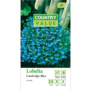 Country Value Lobelia Cambridge Blue Flower Seeds