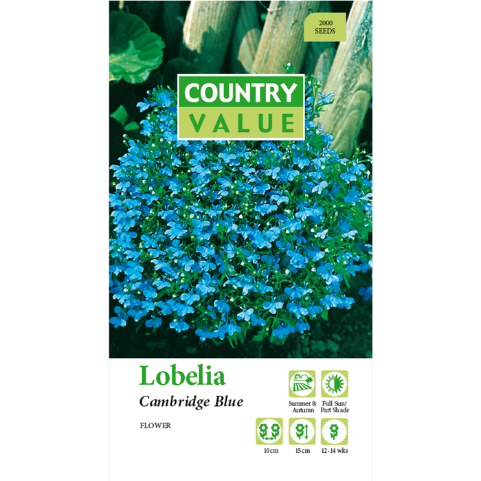 Country Value Lobelia Cambridge Blue Flower Seeds