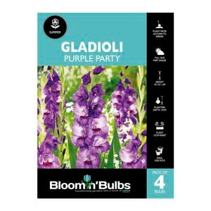Bloomin' Bulbs Gladioli Purple Party - 4 Pack