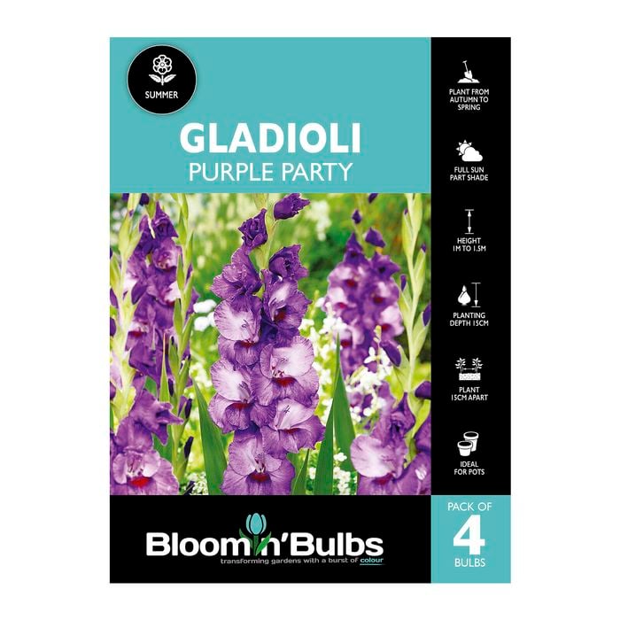 Bloomin' Bulbs Gladioli Purple Party - 4 Pack