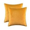 Catzon 2 Pcs Decorative Velvet Throw Pillow Covers Soild for Home Car 40X40cm-Gold Yellow