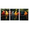 3pcs Featuring Seven Parrots Print 100% Australian Made 3 x 40x60cm (Metal Print)