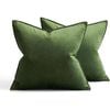 Catzon 2 Pcs Decorative Velvet Throw Pillow Covers Soild for Home Car 50X50cm-Apple Green
