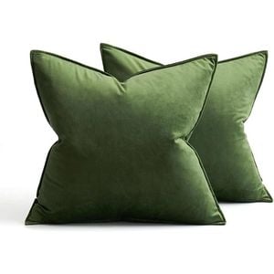 Catzon 2 Pcs Decorative Velvet Throw Pillow Covers Soild for Home Car 50X50cm-Apple Green